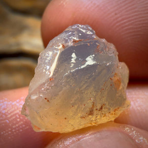 Bargain Card! 11.2cts - Opalised Shell Geological Specimen from South Australia