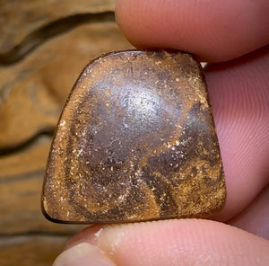 21.9cts - Red Multicolour, Queensland Boulder Opal from Winton - Opal Whisperers