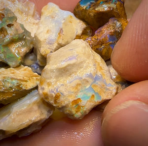 215cts - 25x Opalised Wood/Vegetation Fossil Rough Parcel from Yowah