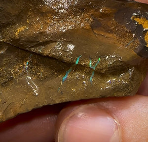 524g - Queensland Boulder Opal Rough - Opal Whisperers