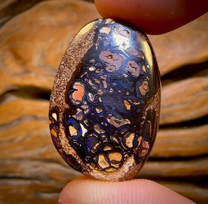 42.7cts - RARE Koroit Nut Crystal Centre Opal