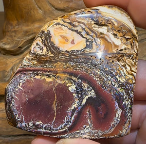 544cts - Yowah Tribal Australian Boulder Opal Specimen Polished - Opal Whisperers