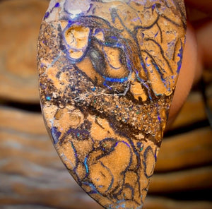 29 x 15mm - Drilled Tribal Queensland Boulder Opal Necklace