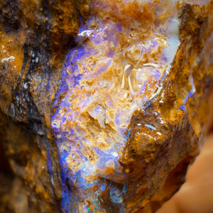 270.8cts - Opalised Wood/Vegetation Fossil Rough Piece from Yowah
