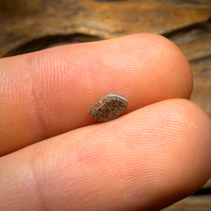 📣 OPALFEST 🔨 AUCTION 🔨 No Reserve 0.35cts - Australian Boulder Seam Opal from Queensland