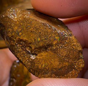 337.3cts - 3x Yowah Nut Rough Opal Parcel. Queensland Boulder Opal - Opal Whisperers