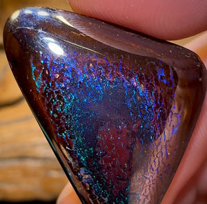 (Template) 34.5cts - Tribal Koroit Nut. Dark Ironstone - Opal Whisperers