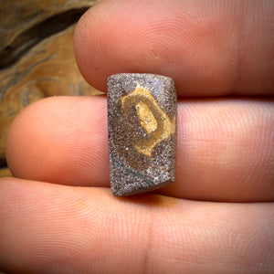 8.3cts - “The Wave”Queensland Boulder Seam Opal