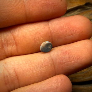 🔨 AUCTION 🔨 Reserve 💎 High Roller Banger Auction 💎 0.4cts - Lightning Ridge Red on Black Opal