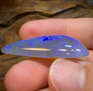 51.3cts - BIG Lightning Ridge Crystal Opal - Opal Whisperers