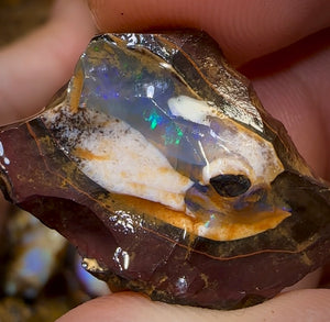 140.1g - 8x Mixed Queensland Boulder Opal Rough Pieces with Crystal Centres - Opal Whisperers