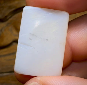20.1cts - Large Gem South Australian White Opal from Mintabie - Opal Whisperers