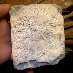 1646cts - HUGE Lightning Ridge Black Potch Opal Rough Piece