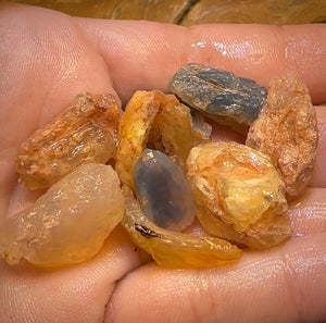 123cts - 9x Opalised Shell Geological Specimens from Lightning Ridge