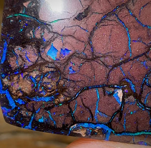 87.1cts - Australian Boulder Opal. Top Tribal - Opal Whisperers