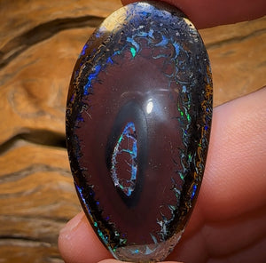 45.2cts - Tribal Queensland Boulder Opal from Koroit