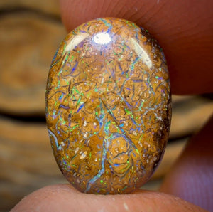 4.7cts - Tan Tribal Yowah Nut Opal. Australian Opal