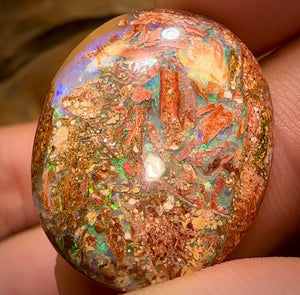 34.9cts - 3x Finished Queensland Boulder Pipe Opals. Wholesale Dealers Parcel