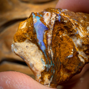 92.1cts - Vegetation Fossil Replacement Boulder Opal Rough Piece