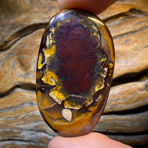 🔨 AUCTION 🔨 98.1cts - Tribal Yowah Nut Kernel Opal. Australian Opal