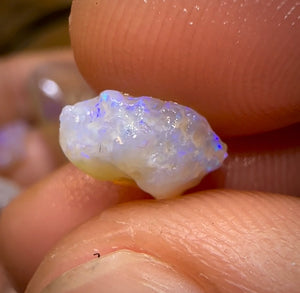 (Template) 55.7cts - 7x Lightning Ridge Crystal Opal Rough - Opal Whisperers