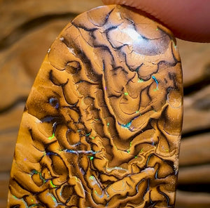 48.5cts - Yowah Nut Tribal Opal. Double Sided Tan Tribal - Opal Whisperers