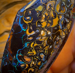 246.5cts - Tribal Queensland Boulder Opal. Polished Specimen