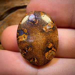 25.1cts - Eye Pair 2/2 Tribal Queensland Boulder Opal from Yowah