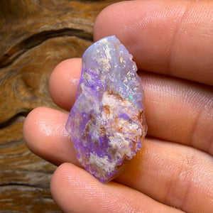 33.1cts - Lightning Ridge Crystal Opal Rough Piece