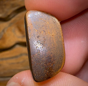 20.5cts - GEM Queensland Boulder Opal. THICK SEAM OPAL - Opal Whisperers