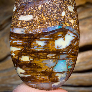 TGIF 26.9cts - “Cathedral Landscspe” Wood Fossil Replacement Boulder Opal from Yowah