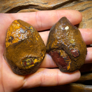 Wild Card! 416.1cts - RARE Yowah Nut Partial Crystal Centre Rough Specimen Pair