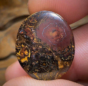 16.1cts - Yowah Nut Tribal Opal - Opal Whisperers