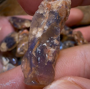 200.8cts - 29x Lightning Ridge Fossil Replacement Opal Rough Parcel Under $2/Ct - Opal Whisperers