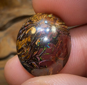 16.1cts - Yowah Nut Tribal Opal - Opal Whisperers
