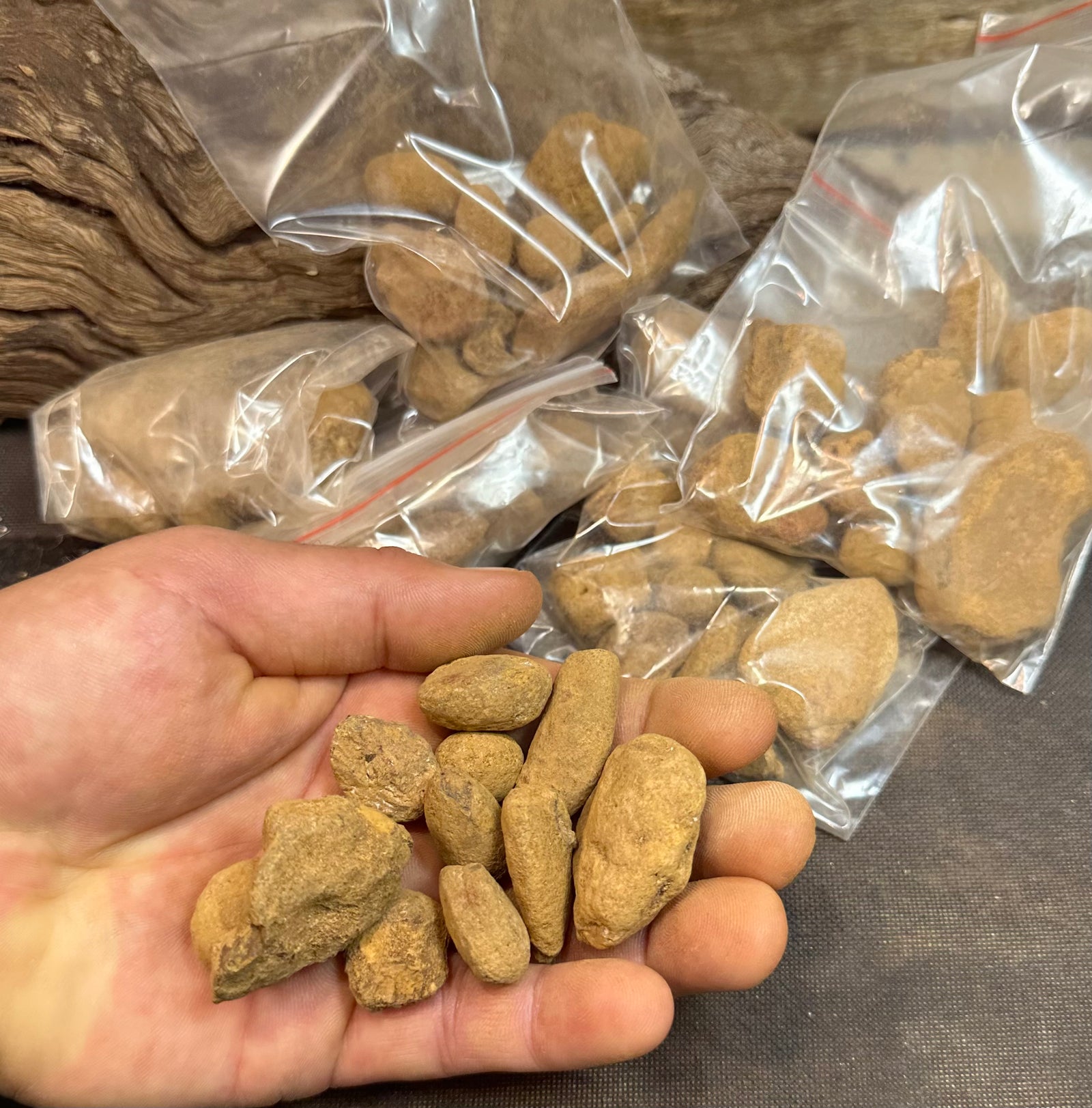 Bag of 10 x Small Unopened YOWAH NUTS!!! 3 chances in every Nut - Opalwhisperers