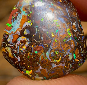 6.7cts - Tribal Yowah Nut Opal. Electric Multicolours!
