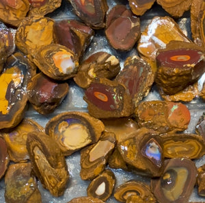 Isaac Choice 6 x Jojo Yowah Nut Opal Slices. New Price Bargain in Bulk