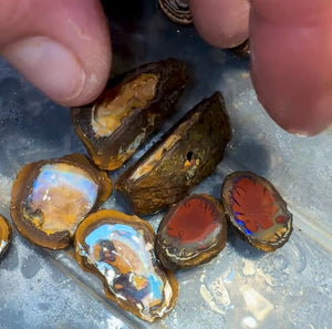 Isaac Choice - 3 x matched pairs - Jojo Yowah Nut Opal. Total 6 pieces New Price BARGAIN BULK LISTING