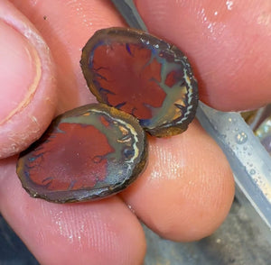 Isaac Choice - 3 x matched pairs - Jojo Yowah Nut Opal. Total 6 pieces New Price BARGAIN BULK LISTING