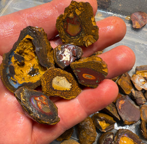 Isaac Choice 6 x Jojo Yowah Nut Opal Slices. New Price Bargain in Bulk