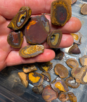 Isaac Choice 6 x Jojo Yowah Nut Opal Slices. New Price Bargain in Bulk