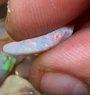 125.4cts - WATCH VIDEO!! High quality Fossil Shell Rough Opal Crystal - Opalwhisperers