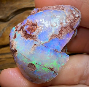 The 115.9cts - Opalised Shell Geological Specimen from South Australia - Opal Whisperers
