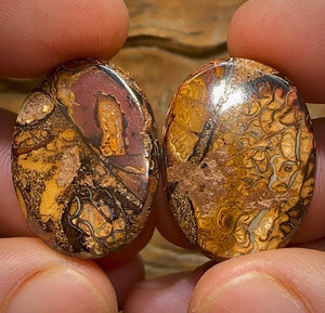 62.4cts - Tribal Pattern Yowah Nut Opal Pair - Opal Whisperers