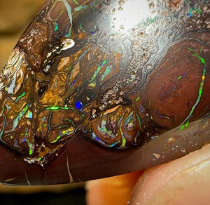 44.8cts - Queensland Boulder Opal from Koroit - Opal Whisperers