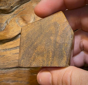 428.5cts - XLarge Tribal Pattern Koroit Nut Opal Specimen - Opal Whisperers