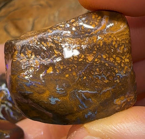 294.7cts - 5x Queensland Australian Opal Boulder Rough Rub Preforms - Opal Whisperers