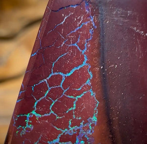 34.7cts - Queensland Boulder Opal - Opal Whisperers