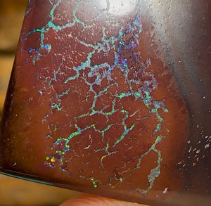 34.7cts - Queensland Boulder Opal - Opal Whisperers